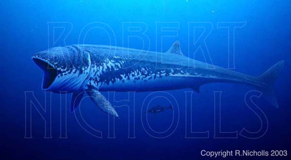 http://www.paleocreations.com/images/leedsichthys_reduced.jpg